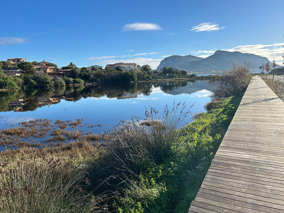 “Walk this way…”