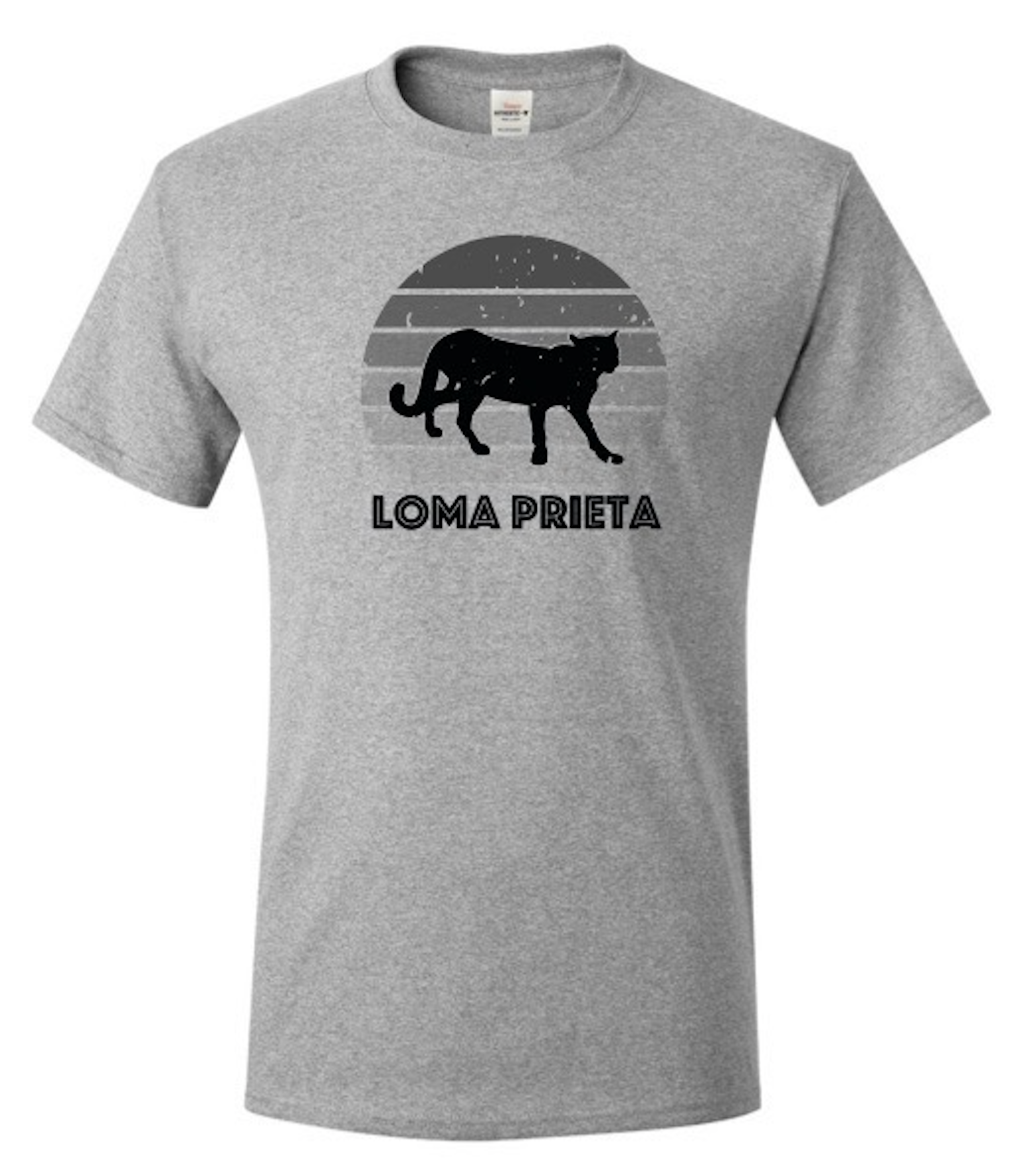 Loma Prieta Retro