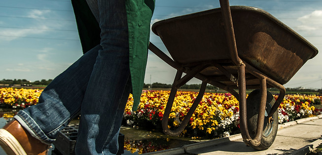 Gardener