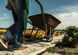 Gardener