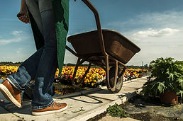 Gardener