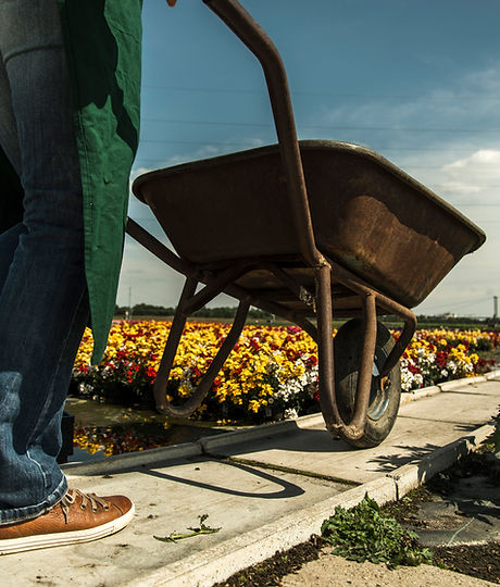 Garden coach expert