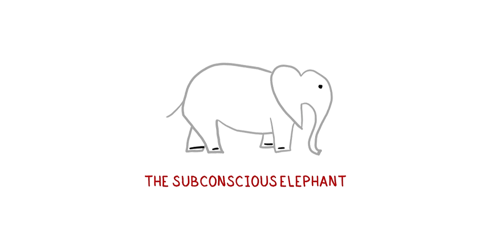 drawing of naming your problems, elephant and rider