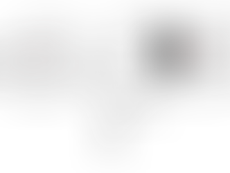 CLIMBING THE RIGHT LADDER: CHOOSING WHAT REALLY MATTERS