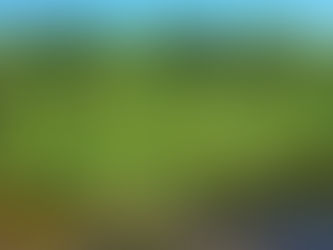 Opossum Pipefish Re-introduction and Habitat Restoration in the St. Sebastian River