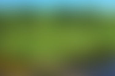 Opossum Pipefish Re-introduction and Habitat Restoration in the St. Sebastian River