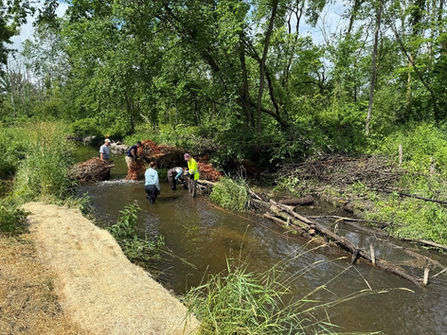 Onion River Restoration Project (Part 2)