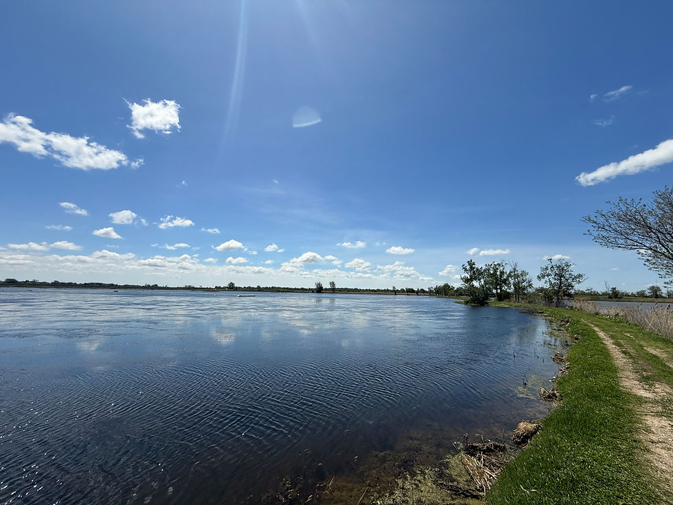 Collavino Conservation Area Guided Walk