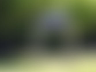 Prescribed Burn Planned for Tremblay Beach Conservation Area