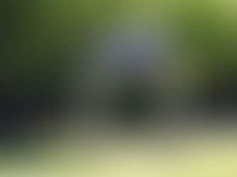 Prescribed Burn Planned for Tremblay Beach Conservation Area