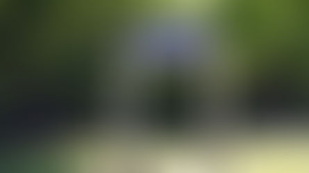 Prescribed Burn Planned for Tremblay Beach Conservation Area