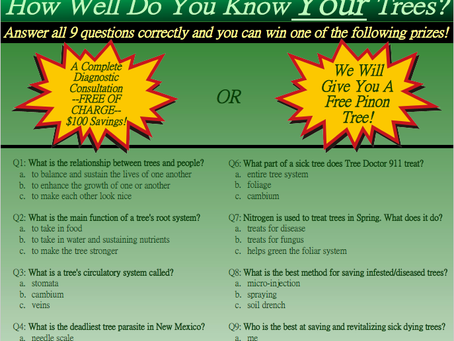 Tree Doctor 911 Tree Trivia: Win Free Prizes!        (Study guide) www.treedoctor911.com/triviahelp