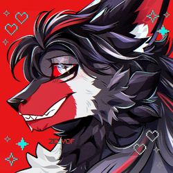 WIX 4.png