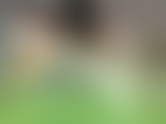 2025년 프리랜서 업계