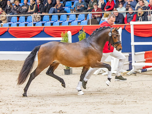 KWEDR (56 von 496).jpg