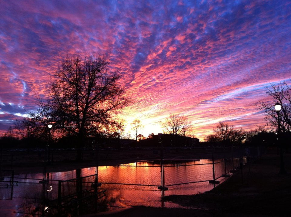 Photography by B Thompson