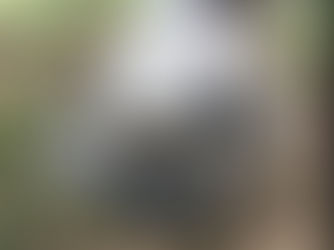 Hoof Rings on a horse