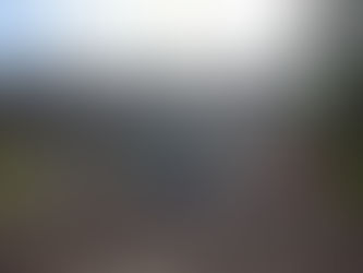 新聞の特性とは