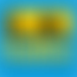 Check out the Award Winners of LA Indies