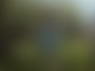 Summer 2022 Winners of Montreal Independent Film Festival