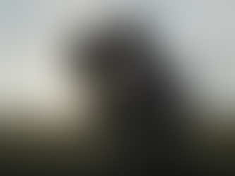 A Wonderful Way with Dragons