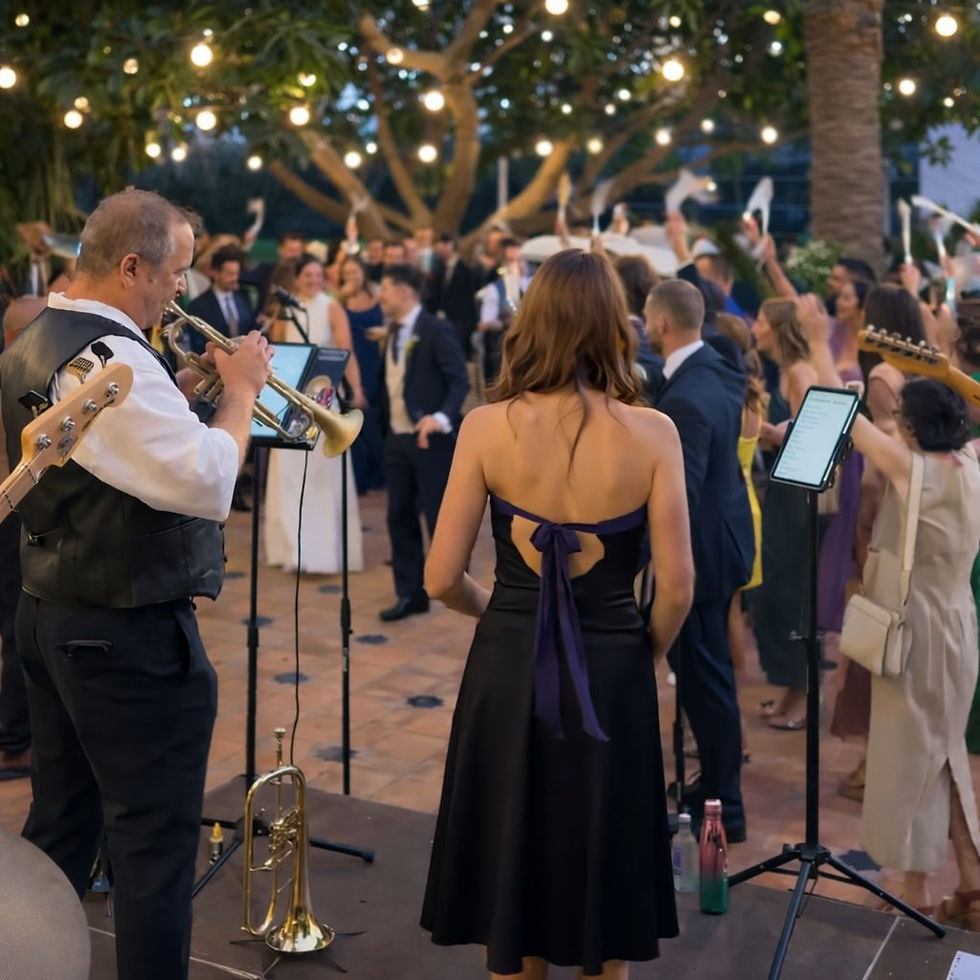 Música en directo durante el cóctel de una boda en Castellón