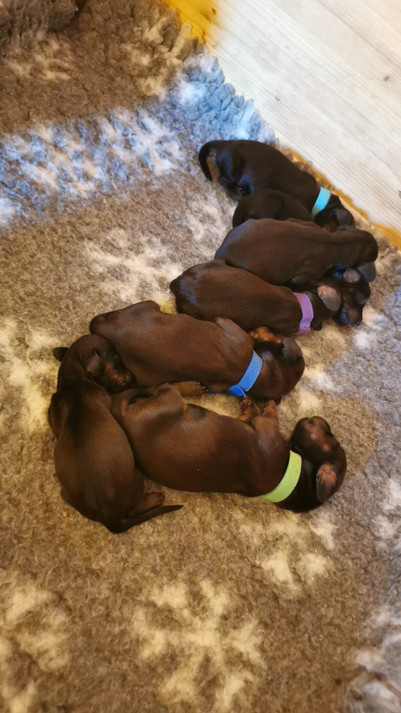 IMG-20220705-WA0012.jpeg