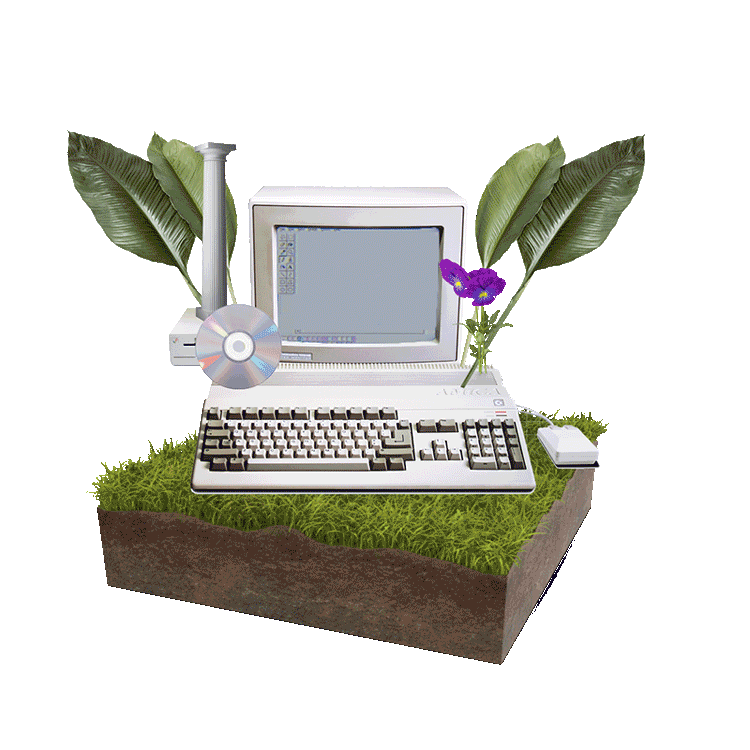 webintro_2.gif