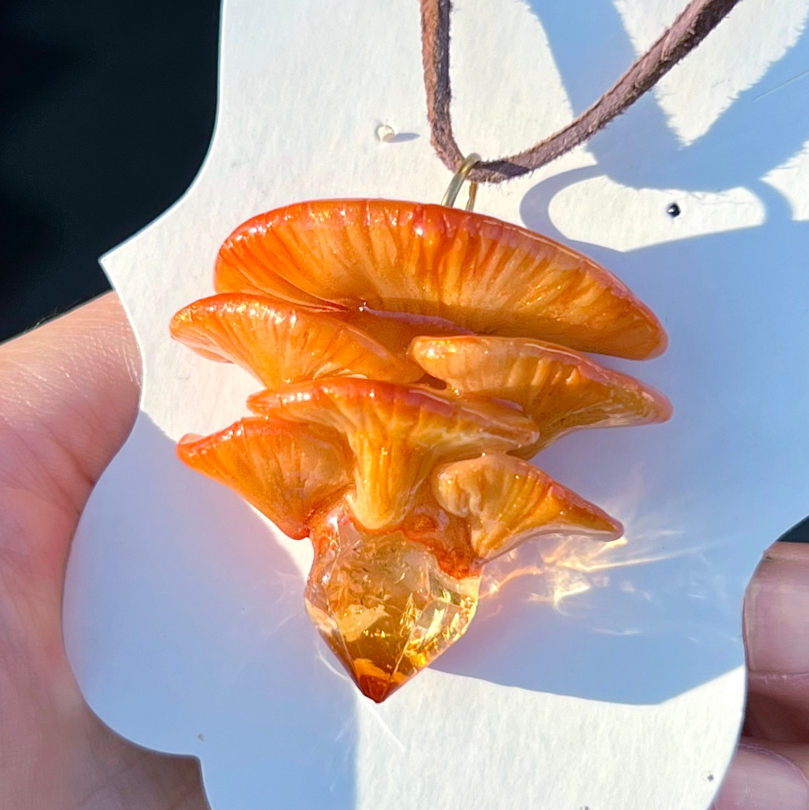 Medium size Gorgeous Oyster mushroom 