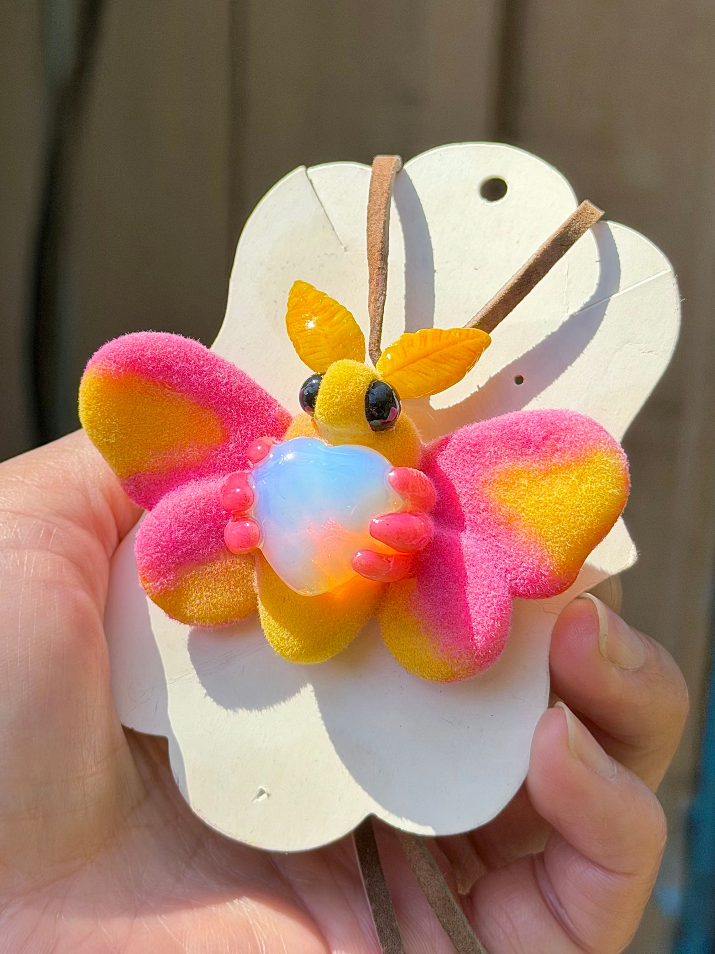 Velvetwing Fairy Rosy Maple Moth