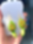 Thumbnail: Earthy Green Morel 