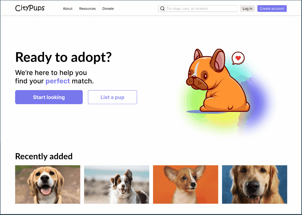 What Is The Dog Adoption Process