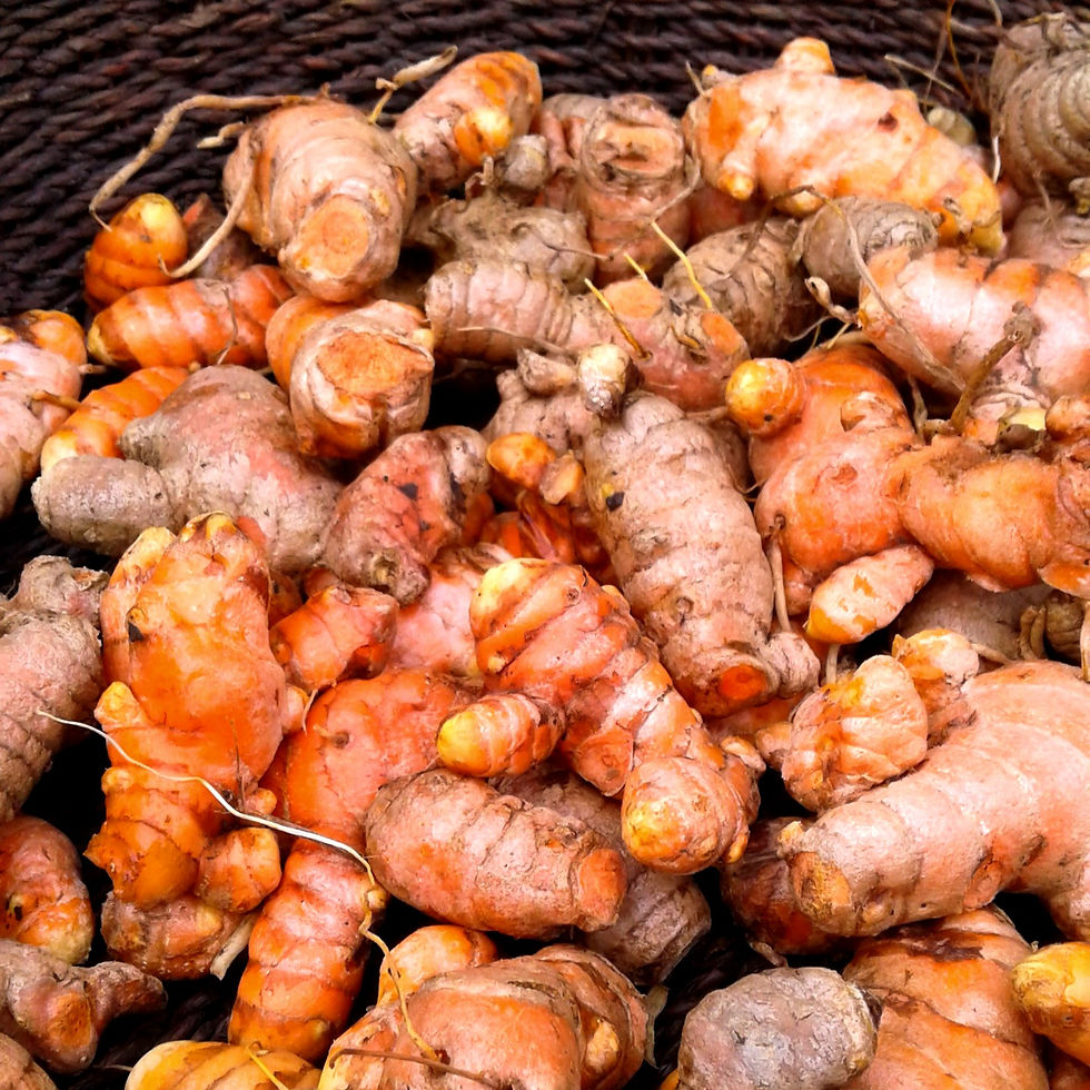 Turmeric