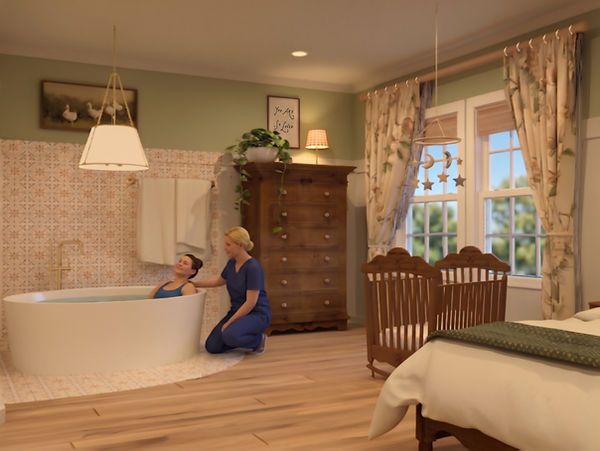 birthroomperspective3.jpg