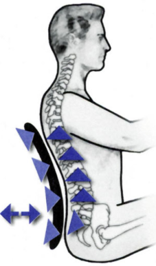 XLumbar Support