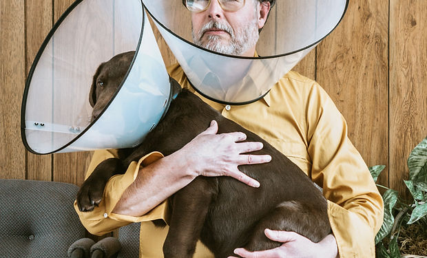 surgery dog