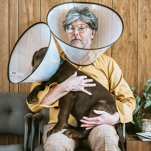 Pet Insurance for your prized friends