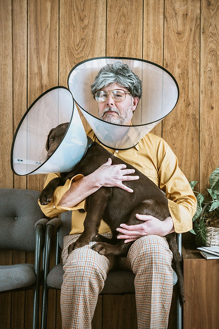 pet insurance