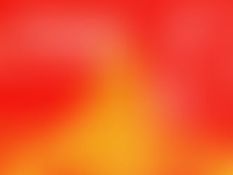 47 Aniversario de la Reunificación de Vietnam