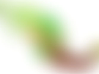 La regionalización de la miseria. Somos los mismos de siempre.