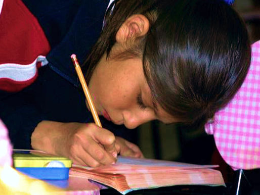 El sesgo educativo se asevera en la pandemia por Covid-19