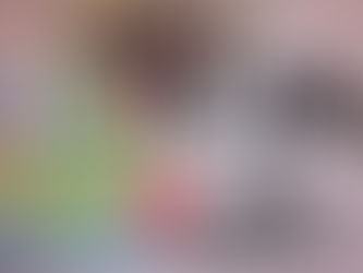 No a la minería en Veracruz