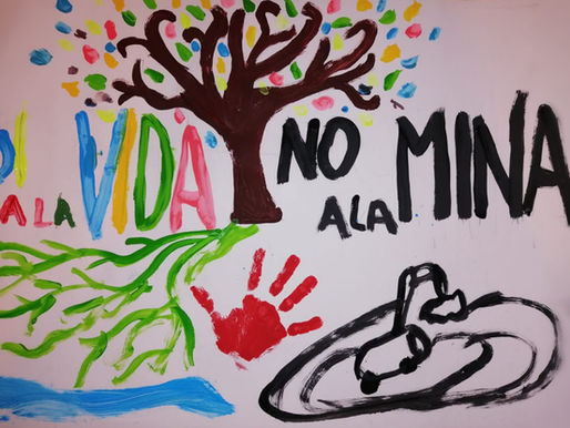 No a la minería en Veracruz