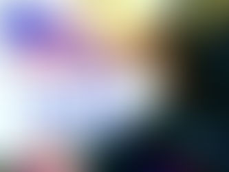 El Papel del Congreso y el Colegio Electoral