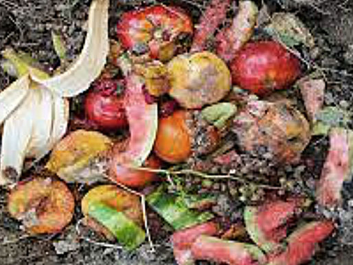 ¿Importar fertilizantes sintéticos? o producir en México fertilizantes agroecológicos.