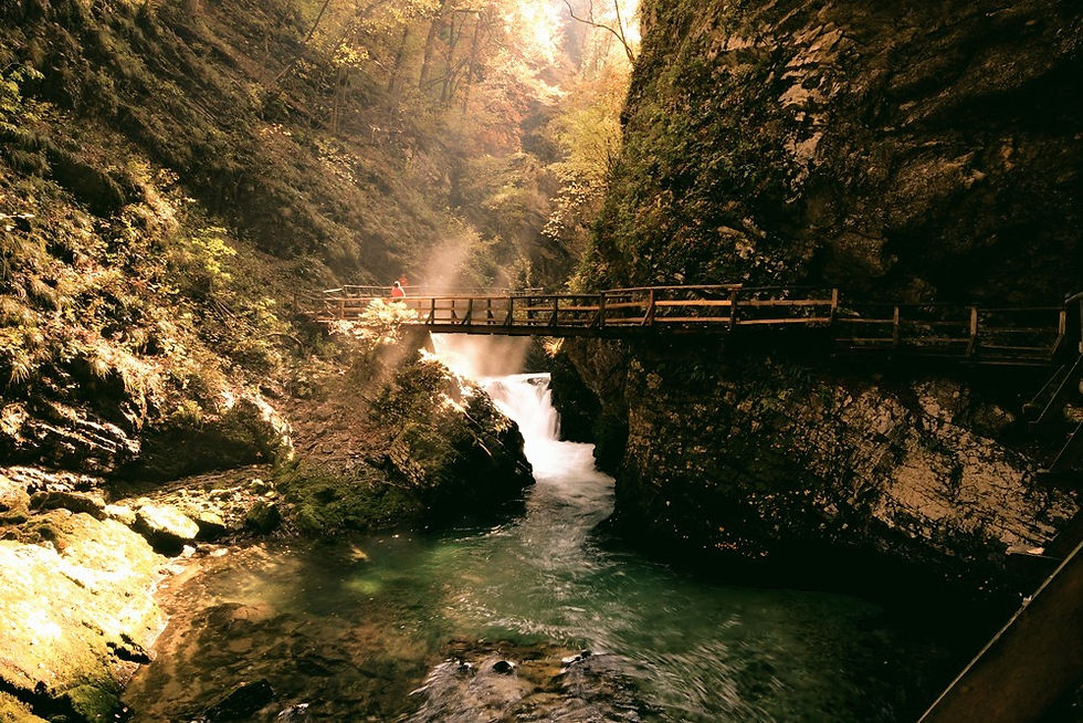 Bridge Over River _edited_edited.jpg