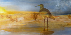 Spirit Bird