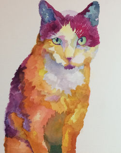 Vet Cat