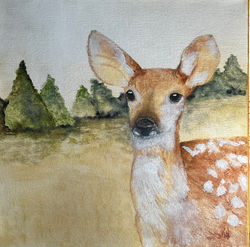 Spirit Fawn