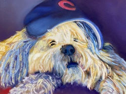 A Cub's Fan